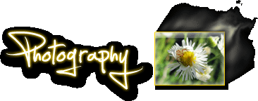 Photography
