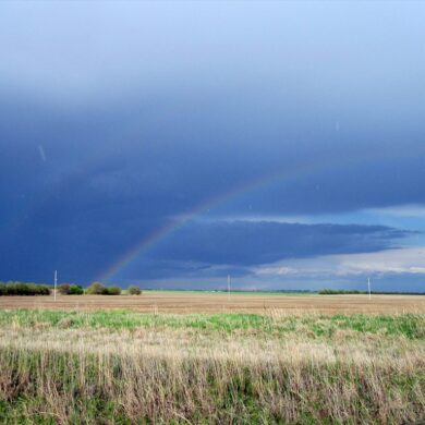 Rainbow.jpg