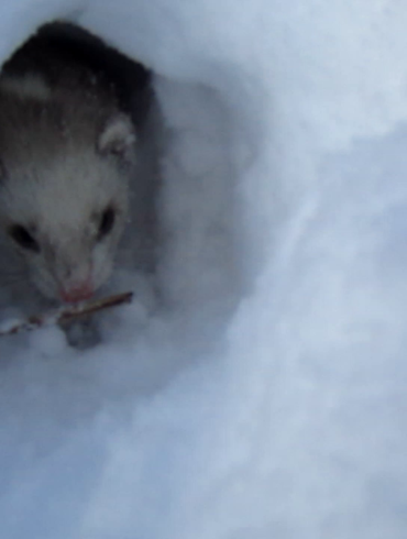 Vlcsnap 2022 07 06 10h17m21s778