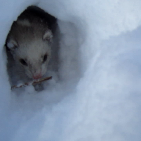 Vlcsnap 2022 07 06 10h17m21s778