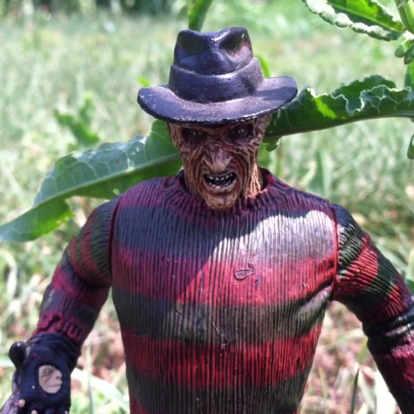 Vlcsnap 2022 07 06 09h37m02s211