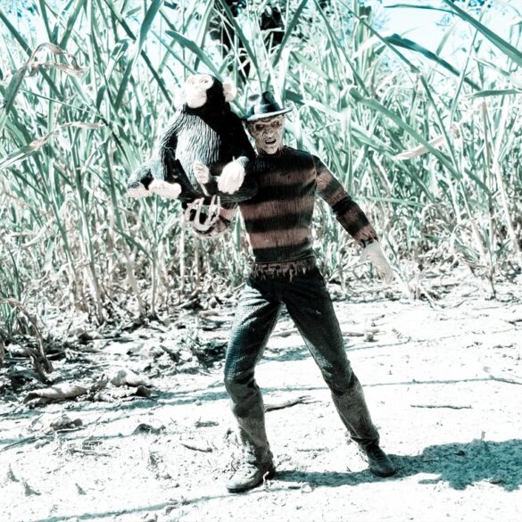 Freddy1.jpg