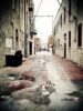 Alley.jpg