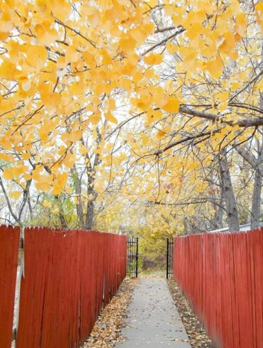 Path2.jpg
