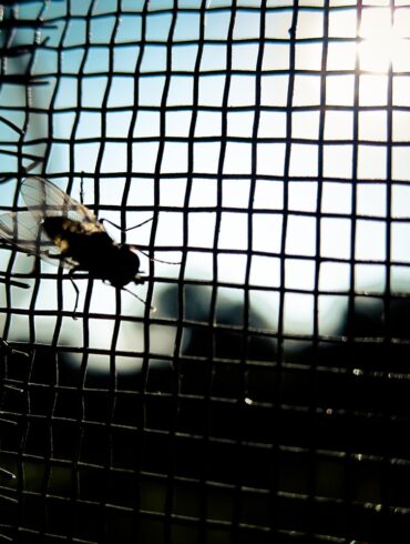 Flyjail.jpg