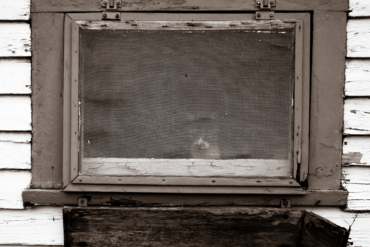 Kittywindow.png