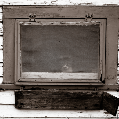 Kittywindow.png
