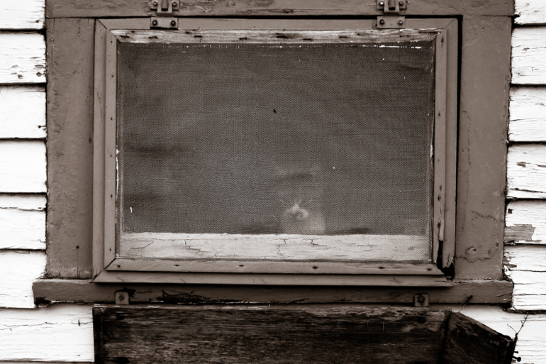 Kittywindow.png