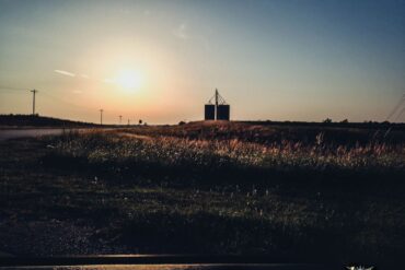 Summer Evening