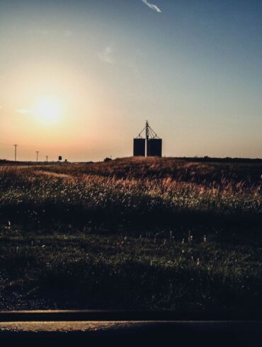 Summer Evening