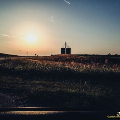 Summer Evening