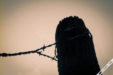 fence post