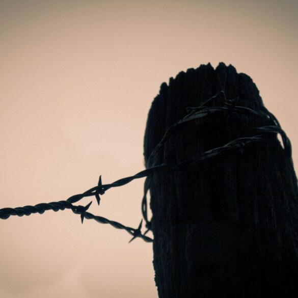 fence post