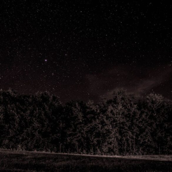 night sky