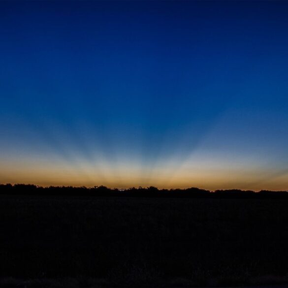 Morning Sky