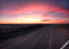 IMG 7459