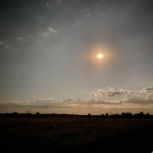 IMG 6547 topaz enhance2