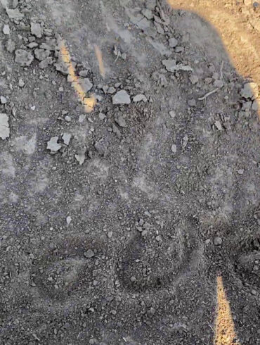 1vlcsnap 2023 09 25 01h11m24s172