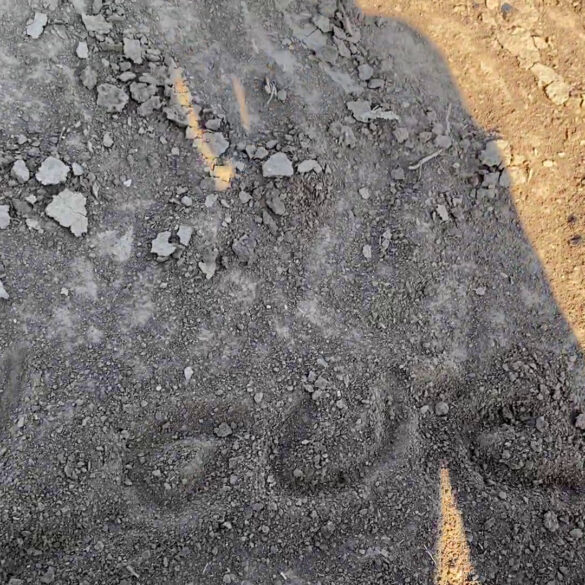 1vlcsnap 2023 09 25 01h11m24s172