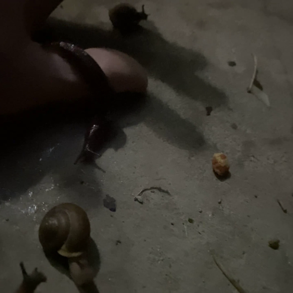 Vlcsnap 2025 11 22 01h42m17s075