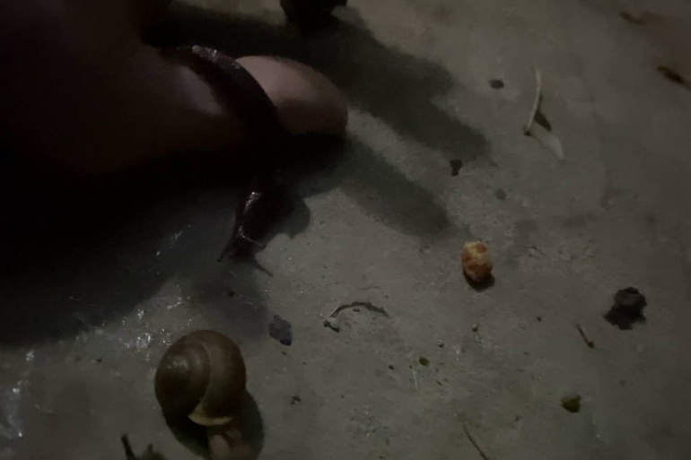 Vlcsnap 2025 11 22 01h42m17s075