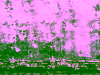 Untitled 1
