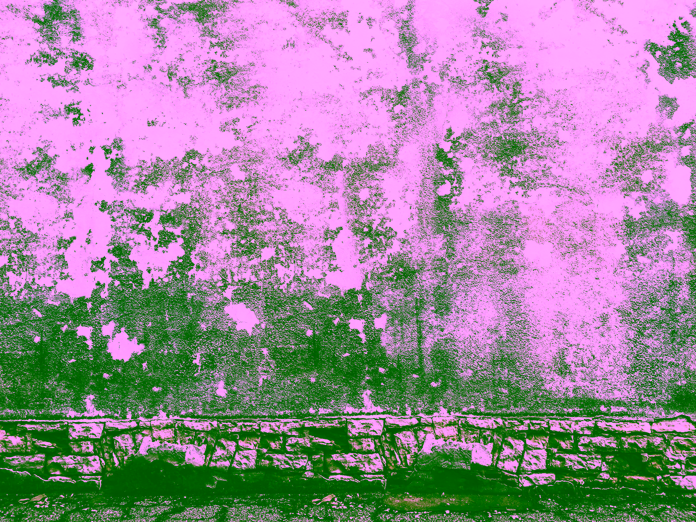 Untitled 1